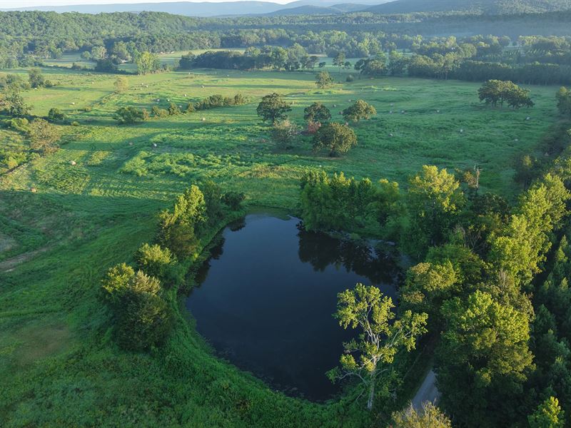 35 Acres in Polk County, AR : Mena : Polk County : Arkansas