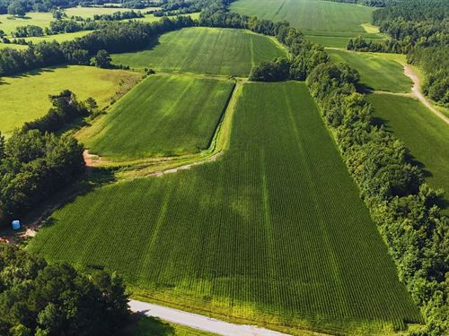 42 Acres in Webster County in Eupor : Eupora : Webster County : Mississippi