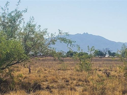 Start Small, Dream Big : Willcox : Cochise County : Arizona