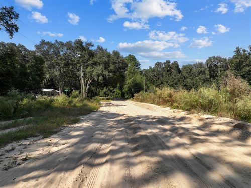 Corner Lot by The Pasture, $210/Mo : Interlachen : Putnam County : Florida