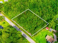 Unrestricted Lot Near Cashie River : Windsor : Bertie County : North Carolina