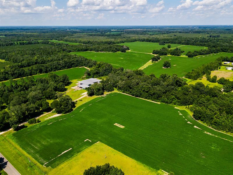 Marianna Farm and Hunting : Marianna : Jackson County : Florida