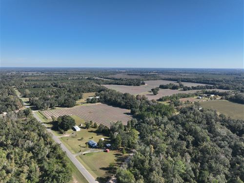 Marianna Farm and Hunting : Marianna : Jackson County : Florida