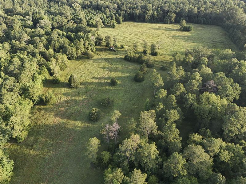 Meriwether Rd Tract : Pike Road : Montgomery County : Alabama