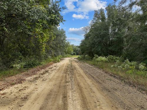 Tucked Away with Privacy, $245/Mo : Interlachen : Putnam County : Florida