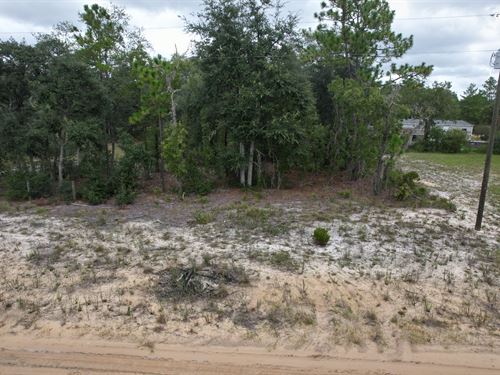 Mobile Life Made Easy, $175/Mo : Interlachen : Putnam County : Florida