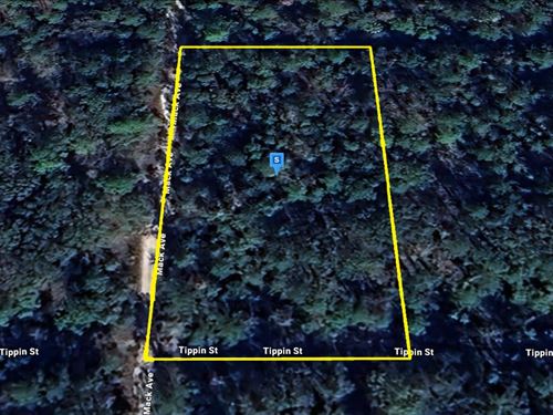 Just 502.31 Down, Corner Property : Hastings : Flagler County : Florida