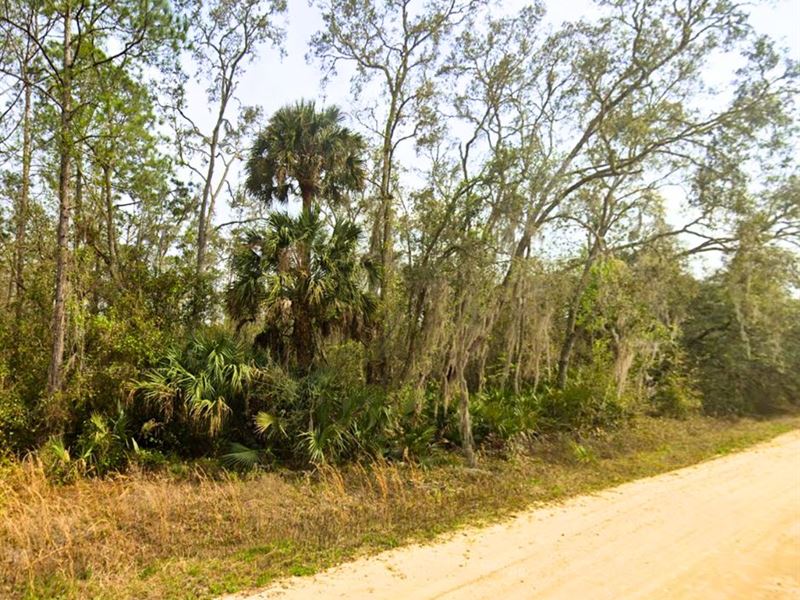Your Mobile Home Spot : Interlachen : Putnam County : Florida