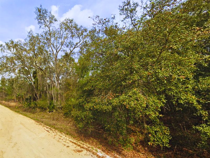 Your Mobile Home Spot : Interlachen : Putnam County : Florida