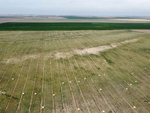 Arriba Farm 479 : Arriba : Lincoln County : Colorado