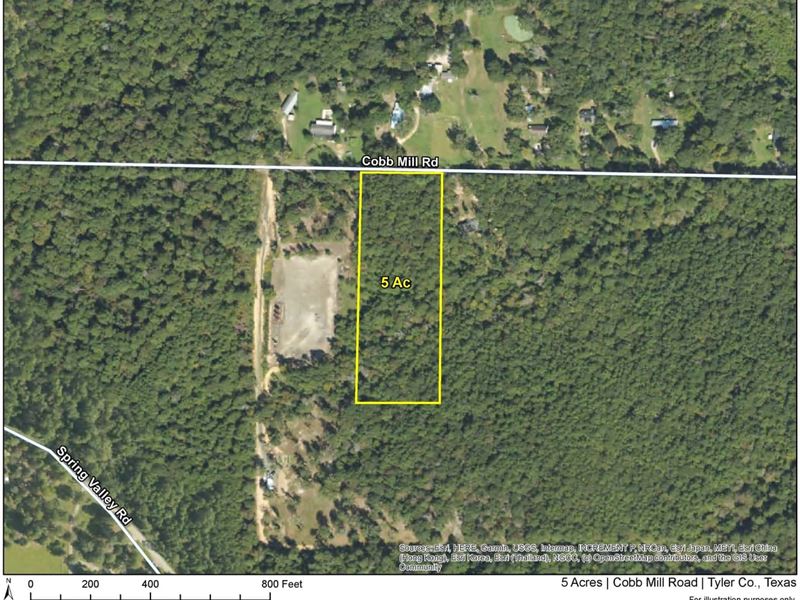 5 Acres, Cobb Mill Road : Woodville : Tyler County : Texas
