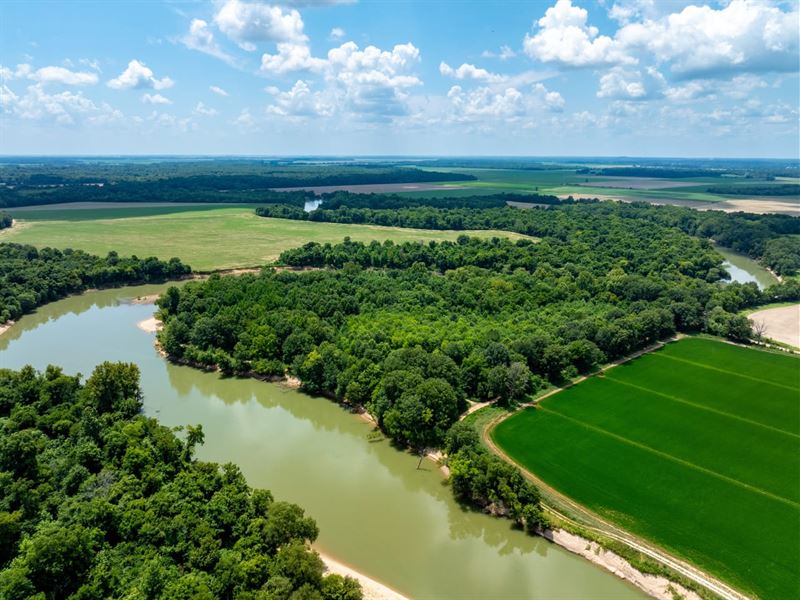 Owner Financing, 9 Acres on Cur : Biggers : Randolph County : Arkansas