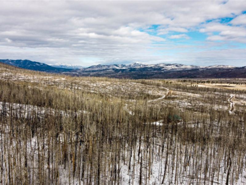 Own 2.24 Acres and Hunt Nearby : Fort Garland : Costilla County : Colorado
