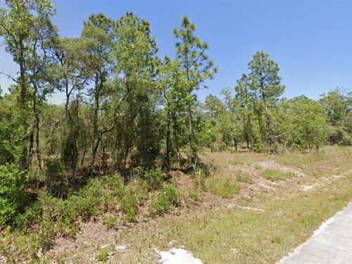 Build in Peaceful Dunnellon : Dunnellon : Marion County : Florida