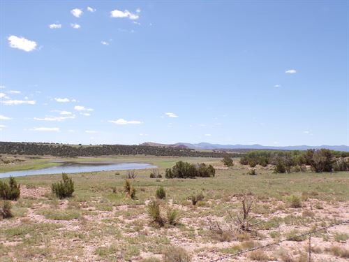 RV Lot Walkable to Concho Lake : Concho : Apache County : Arizona