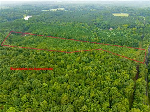 Rare Large Residential Acreage : Pittsboro : Chatham County : North Carolina