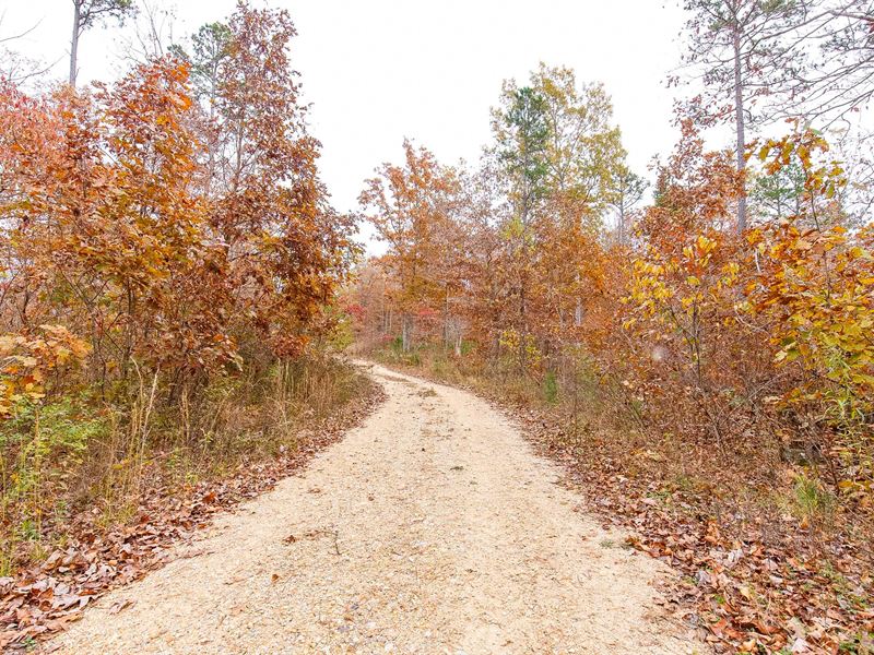 $999 Down Land, Own Today : Ellington : Reynolds County : Missouri