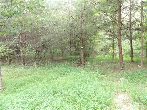 Driveway, Well and Septic, Private : Crossville : Bledsoe County : Tennessee