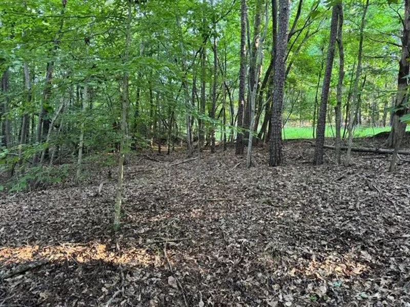 .52 Acres On Pinewood Road : Spartanburg : Spartanburg County : South Carolina