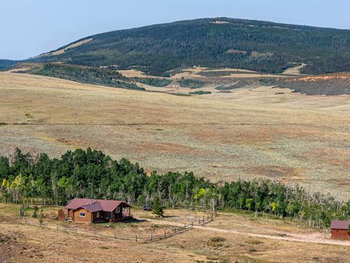 3513 County Road 89 : Red Feather Lakes : Larimer County : Colorado