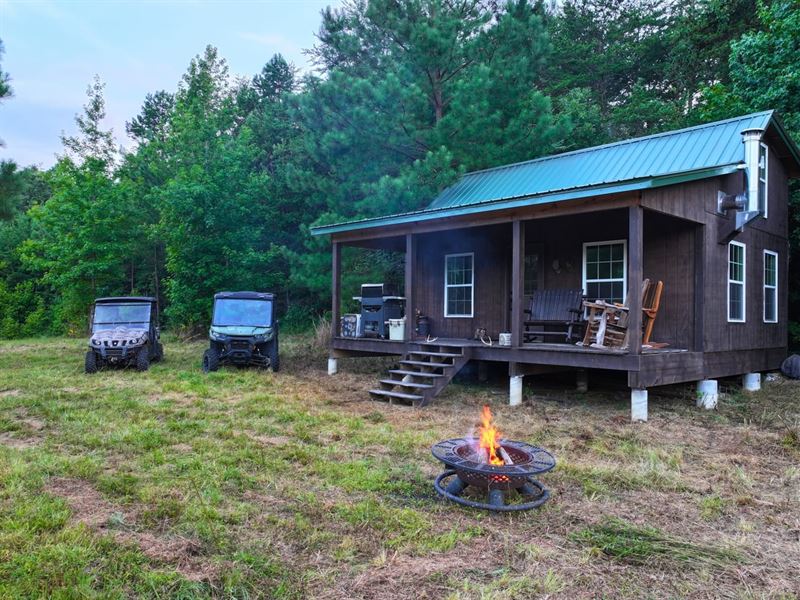 The Back Forty-One 41 Wooded Ac : Virgilina : Halifax County : Virginia