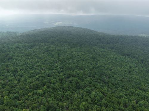 80 Acres With 3 Cabins In Pushmatah : Clayton : Pushmataha County : Oklahoma