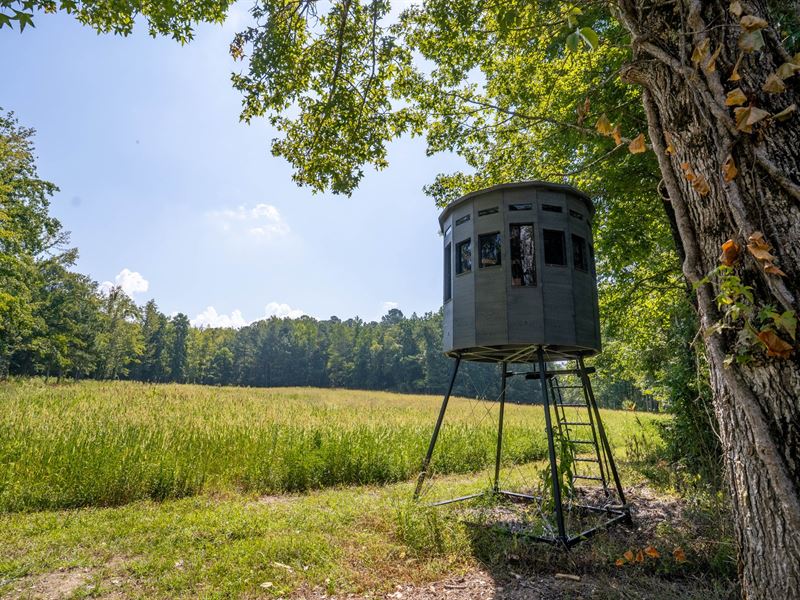 Pinnacle Lake Farm / 205 Acres WI : Talladega : Talladega County : Alabama