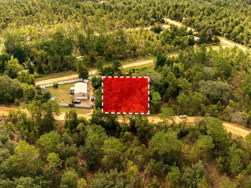 Surrounded by Lakes and Nature : Interlachen : Putnam County : Florida