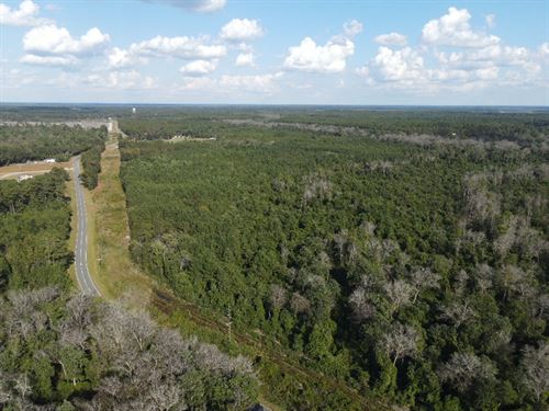 50.52 Acres in Bladen County NC : Garland : Bladen County : North Carolina