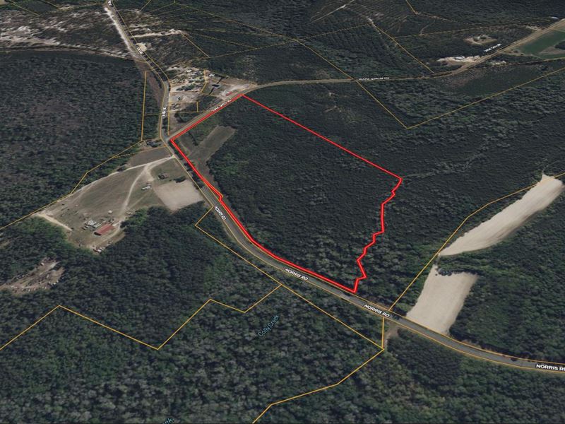 50.52 Acres in Bladen County NC : Garland : Bladen County : North Carolina
