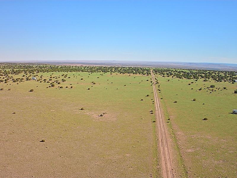 2.1 Acre Double Lot Concho Lake : Concho : Apache County : Arizona