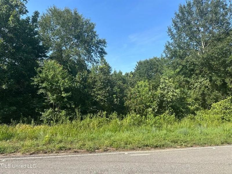 12.95 Acres/Magnolia, MS : Magnolia : Amite County : Mississippi
