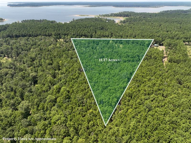 11 Acres, FM 3173 : Broaddus : San Augustine County : Texas