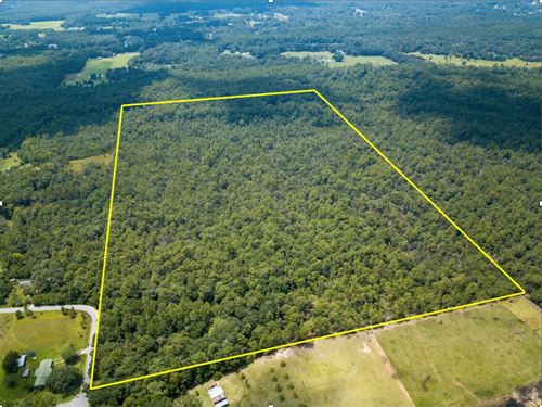 Jackson County-69.24 Acres : Moss Point : Jackson County : Mississippi