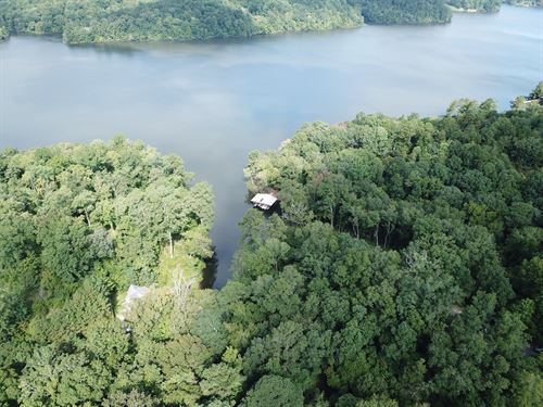 Lot 7, 1.09Ac Lake Lot on Yates LA : Tallassee : Tallapoosa County : Alabama