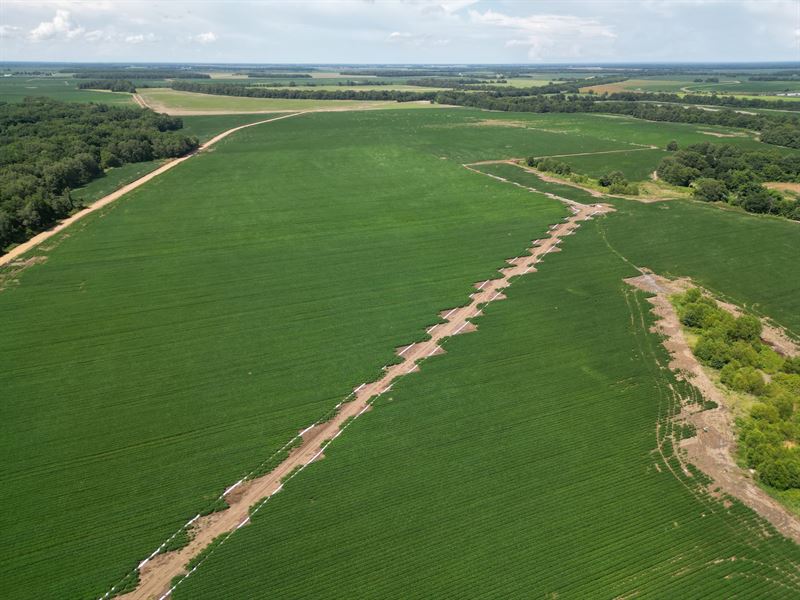 Exceptional Delta Farming with Hunt : Drew : Tallahatchie County : Mississippi