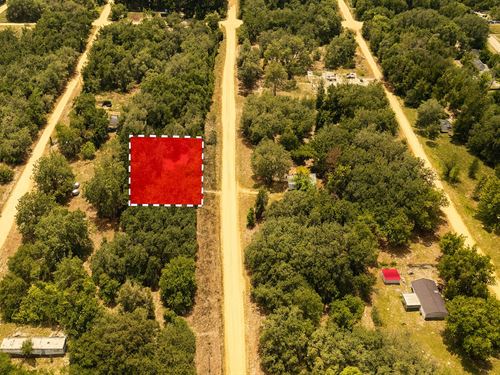 Paved Road Paradise : Interlachen : Putnam County : Florida