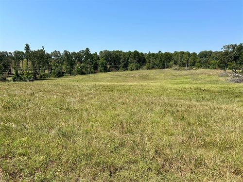 10 Acres, Ready to Build On, WA : Cave City : Independence County : Arkansas