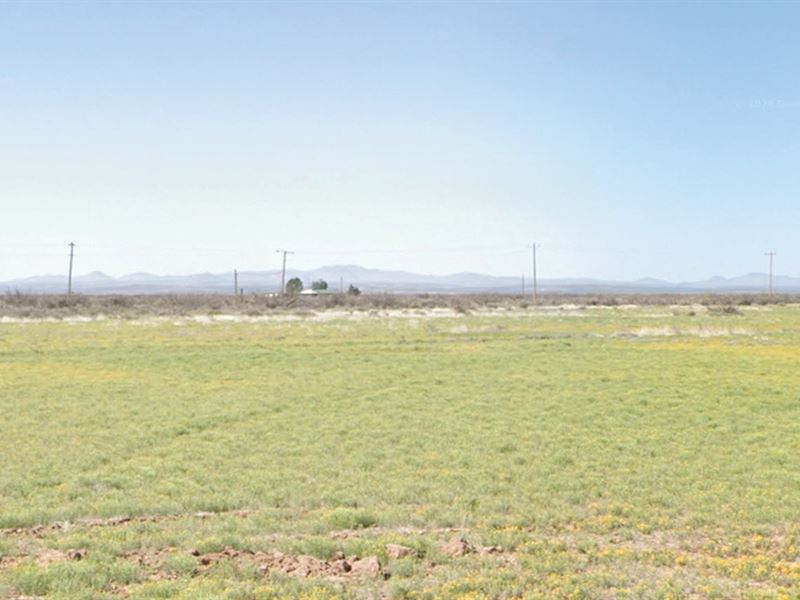 Your Future Starts Here : Deming : Luna County : New Mexico