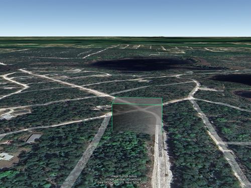 Affordable Satsuma FL Land $277/Mo : Satsuma : Putnam County : Florida