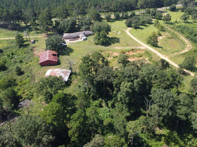 20 Acres with Mature Timber and Hom : Foxworth : Marion County : Mississippi