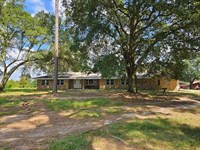 10 Acres With Hunting, Mature Timbe : Foxworth : Marion County : Mississippi