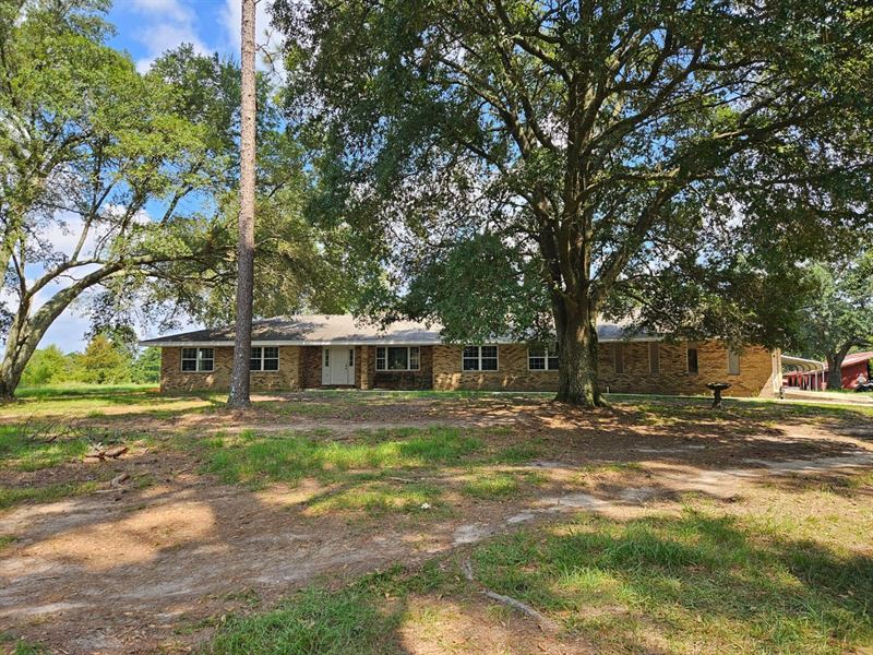 10 Acres with Hunting, Mature Timbe : Foxworth : Marion County : Mississippi