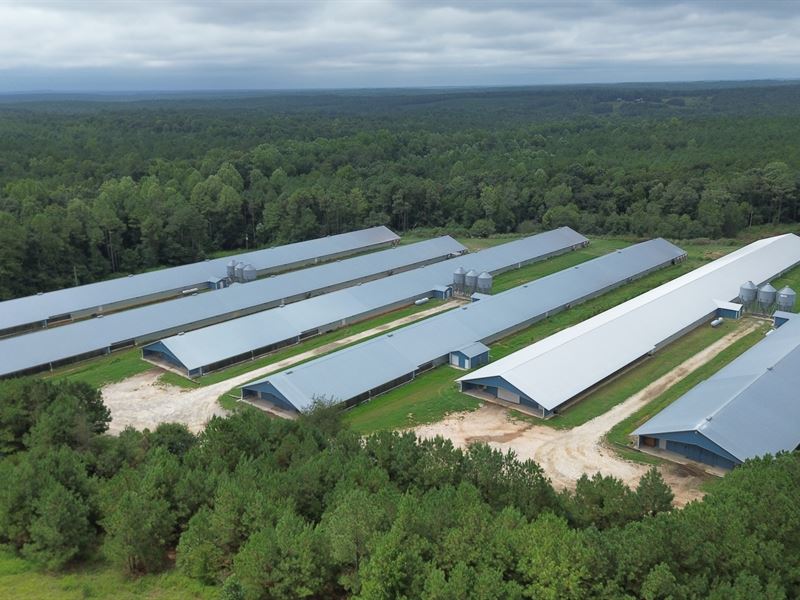 High Income 12 Hse Poultry Farm : Lexington : Oglethorpe County : Georgia