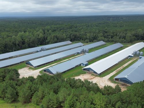 High Income 12 Hse Poultry Farm : Lexington : Oglethorpe County : Georgia