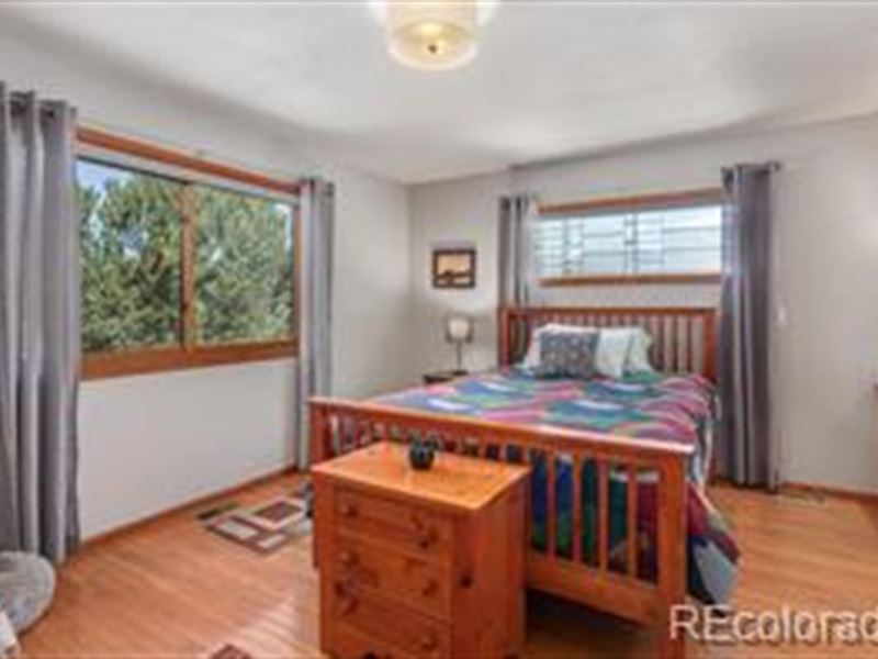 Peaceful 9 Acre Retreat : Buena Vista : Chaffee County : Colorado