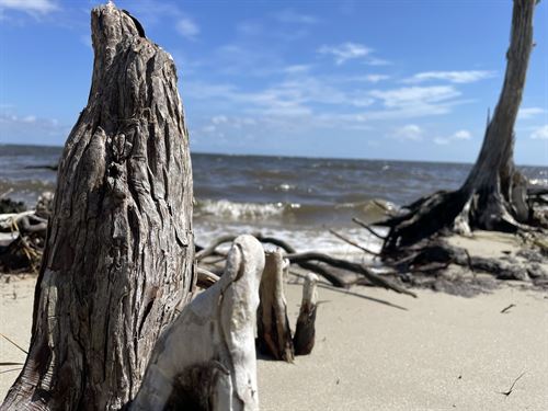 Waterfront Lot for Sale, 6.2 AC : Beaufort : Carteret County : North Carolina