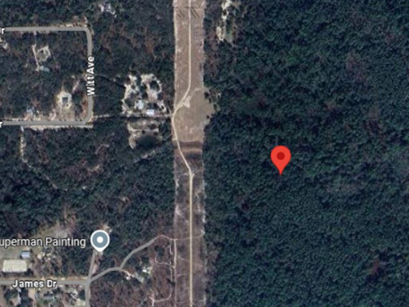 Be a Land Owner Anyway Near Witt Av : Palatka : Putnam County : Florida