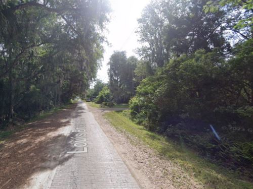 Your Own Lot On Louis Broer Rd : East Palatka : Putnam County : Florida