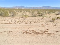 Summer Land Deals, Don't Miss It : Haviland : Mohave County : Arizona
